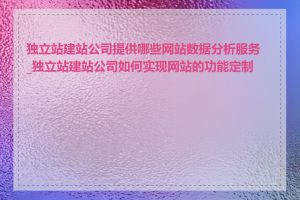 独立站建站公司提供哪些网站数据分析服务_独立站建站公司如何实现网站的功能定制化