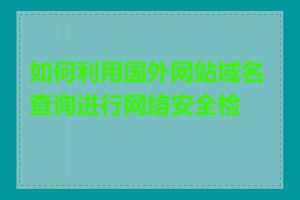 如何利用国外网站域名查询进行网络安全检查