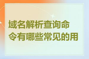 域名解析查询命令有哪些常见的用法