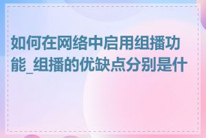 如何在网络中启用组播功能_组播的优缺点分别是什么