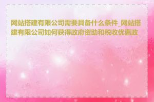 网站搭建有限公司需要具备什么条件_网站搭建有限公司如何获得政府资助和税收优惠政策