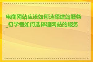 电商网站应该如何选择建站服务_初学者如何选择建网站的服务商