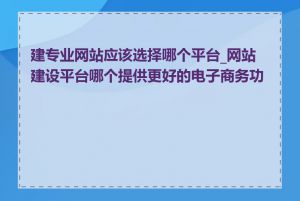 建专业网站应该选择哪个平台_网站建设平台哪个提供更好的电子商务功能