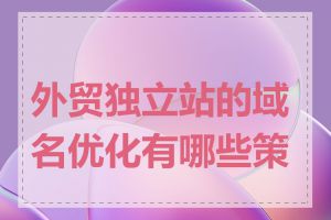 外贸独立站的域名优化有哪些策略