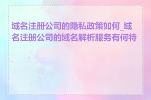 域名注册公司的隐私政策如何_域名注册公司的域名解析服务有何特点