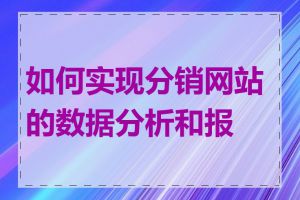 如何实现分销网站的数据分析和报告