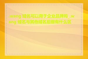 .wang 域名可以用于企业品牌吗_.wang 域名与其他域名后缀有什么区别