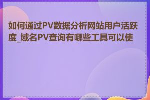 如何通过PV数据分析网站用户活跃度_域名PV查询有哪些工具可以使用