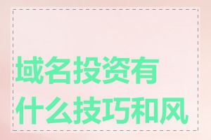 域名投资有什么技巧和风险