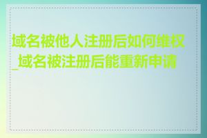 域名被他人注册后如何维权_域名被注册后能重新申请吗