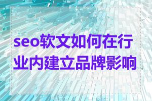seo软文如何在行业内建立品牌影响力