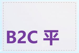 B2C 平台哪个最好