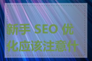 新手 SEO 优化应该注意什么