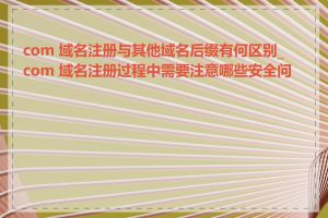 com 域名注册与其他域名后缀有何区别_com 域名注册过程中需要注意哪些安全问题