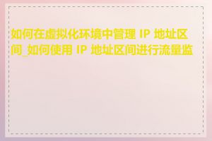 如何在虚拟化环境中管理 IP 地址区间_如何使用 IP 地址区间进行流量监控