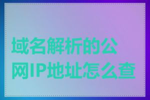 域名解析的公网IP地址怎么查看