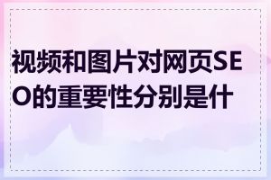视频和图片对网页SEO的重要性分别是什么