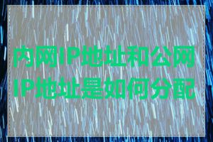 内网IP地址和公网IP地址是如何分配的
