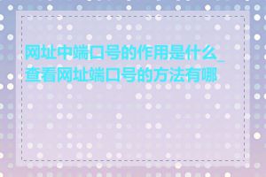 网址中端口号的作用是什么_查看网址端口号的方法有哪些