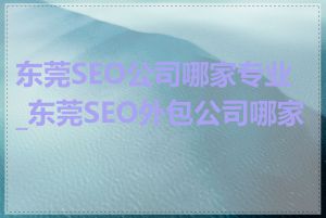东莞SEO公司哪家专业_东莞SEO外包公司哪家好