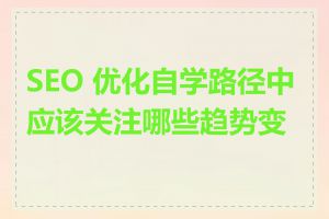 SEO 优化自学路径中应该关注哪些趋势变化