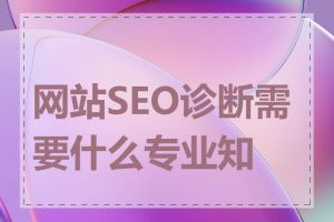 网站SEO诊断需要什么专业知识
