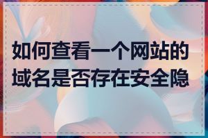 如何查看一个网站的域名是否存在安全隐患