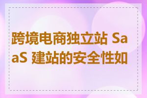 跨境电商独立站 SaaS 建站的安全性如何