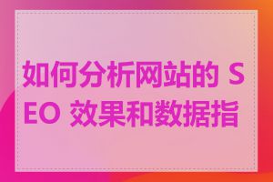 如何分析网站的 SEO 效果和数据指标
