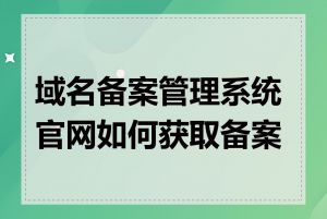 域名备案管理系统官网如何获取备案号