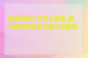 域名注册公司怎么挑选_国内最好的域名注册公司是哪家