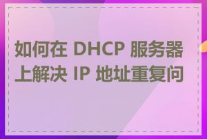 如何在 DHCP 服务器上解决 IP 地址重复问题