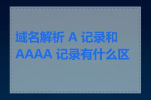 域名解析 A 记录和 AAAA 记录有什么区别