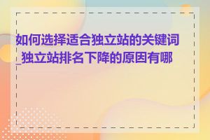 如何选择适合独立站的关键词_独立站排名下降的原因有哪些