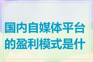 国内自媒体平台的盈利模式是什么