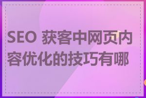 SEO 获客中网页内容优化的技巧有哪些
