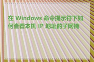 在 Windows 命令提示符下如何查看本机 IP 地址的子网掩码