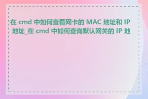 在 cmd 中如何查看网卡的 MAC 地址和 IP 地址_在 cmd 中如何查询默认网关的 IP 地址