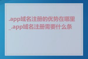 .app域名注册的优势在哪里_.app域名注册需要什么条件