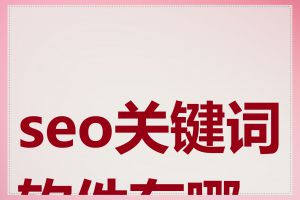seo关键词软件有哪些
