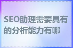 SEO助理需要具有的分析能力有哪些