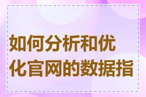 如何分析和优化官网的数据指标