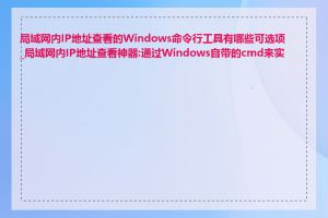 局域网内IP地址查看的Windows命令行工具有哪些可选项_局域网内IP地址查看神器:通过Windows自带的cmd来实现