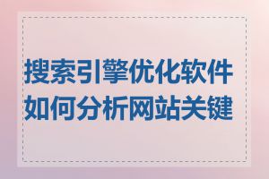 搜索引擎优化软件如何分析网站关键词