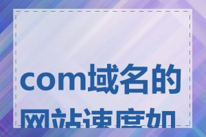 com域名的网站速度如何