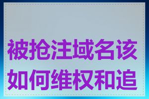 被抢注域名该如何维权和追索