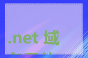 .net 域名是什么