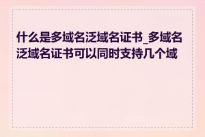 什么是多域名泛域名证书_多域名泛域名证书可以同时支持几个域名