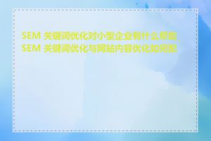 SEM 关键词优化对小型企业有什么帮助_SEM 关键词优化与网站内容优化如何配合