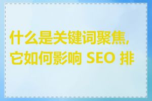 什么是关键词聚焦,它如何影响 SEO 排名